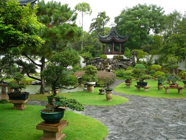 Image result for рајски јапонски градини