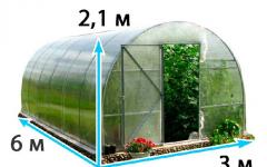Layout of a modern greenhouse
