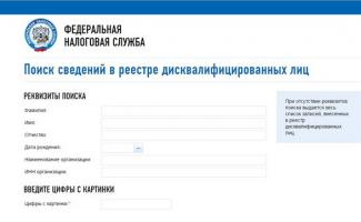 Diskvalifikované osoby: koncepce, postup získávání informací z registru (Tishin A