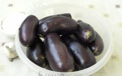 Рецепта за мариновани патладжани за зимата: богата на витамини закуска от „плодовете на дълголетието“