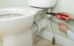 Do-it-yourself toilet repair: a complete guide The toilet tank is leaking, what to do