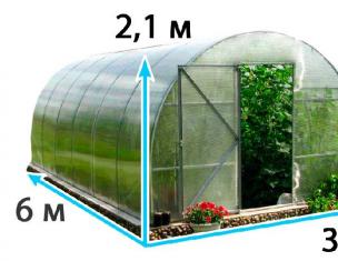 Layout of a modern greenhouse