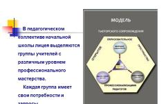 Макет проекта профессионального развития