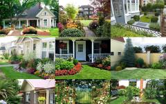Front garden in front of the house: important features (30 photos)